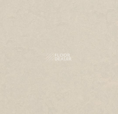 Линолеум Forbo Marmoleum Marbled Fresco 3257-325735 edelweiss фото 1 | FLOORDEALER